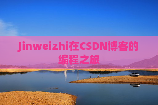 Jinweizhi在CSDN博客的编程之旅